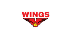 Lowongan Kerja PT Sayap Mas Utama (Wings Group) 