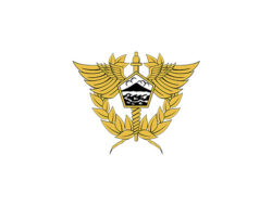 Lowongan Kerja Penerimaan Pegawai Pemerintah Non Pegawai Negeri (PPNPN) Kantor Bea Cukai